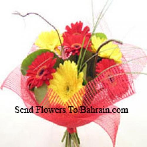 Cute Mixed Gerberas